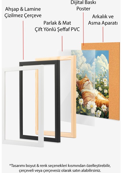 Beyaz Çerçeveli Tablo, Papatyalar Arasında Yatan Kedi, Bahar Havası Poster No: 107346