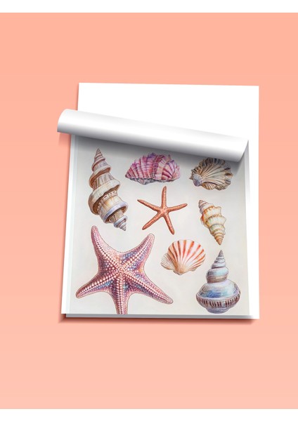 Çerçevesiz Poster, Dalgaların Ardında – Renkli Kabuklar ve Deniz Esintisi Poster No: 107443 fiyatları