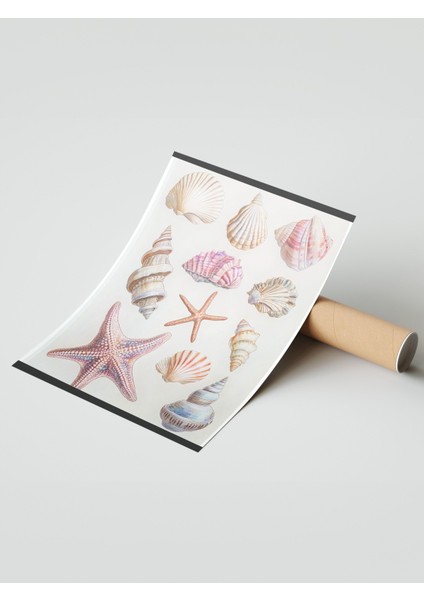 Çerçevesiz Poster, Dalgaların Ardında – Renkli Kabuklar ve Deniz Esintisi Poster No: 107443 modelleri