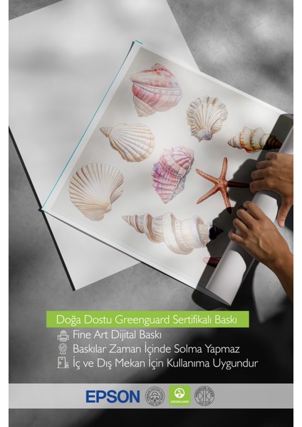 Çerçevesiz Poster, Dalgaların Ardında – Renkli Kabuklar ve Deniz Esintisi Poster No: 107443 indirimleri