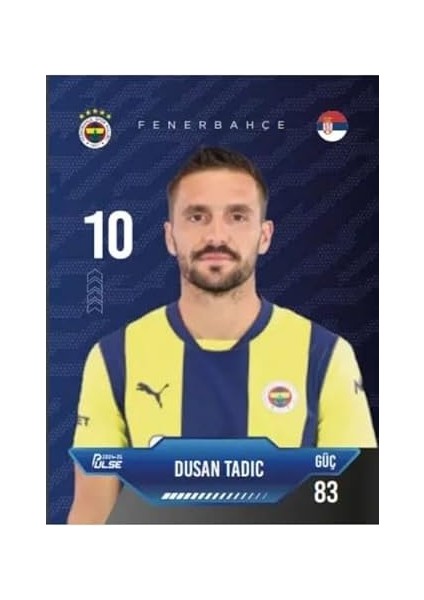 Cards - Fenerbahçe Pulse Futbol Kart Serisi 2024-2025 (12 Kart) modelleri