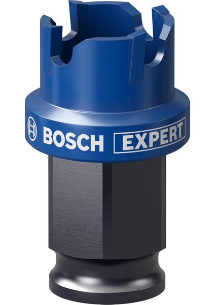 Professional 1x Expert Sheet Metal Delik Açma Testeresi (Paslanmaz Çelik Saclar, Ø 20 Mm, Aksesuar Darbeli Matkap/vidalama)