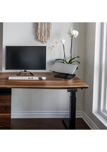 Regula Desk Solid N - Elektrikli Yüksekliği Ayarlanabilir Natürel Kenar Masif Ceviz Çalışma Masası - Siyah Ayak, Ceviz Masif Tabla - Raflı, 130X65 cm