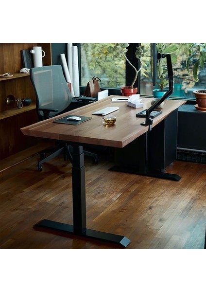 Regula Desk Solid N - Elektrikli Yüksekliği Ayarlanabilir Natürel Kenar Masif Ceviz Çalışma Masası - Beyaz Ayak, Ceviz Masif Tabla - Raflı, 130X65 cm