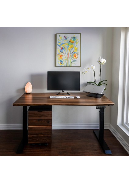 Regula Desk Solid N - Elektrikli Yüksekliği Ayarlanabilir Natürel Kenar Masif Ceviz Çalışma Masası - Siyah Ayak, Ceviz Masif Tabla - Raflı, 200X80 cm modelleri