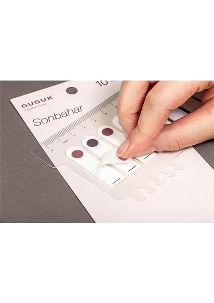 Sonbahar Yuvarlak 10 Renkli Cetvelli Şeffaf Pet Index • Index Sticker • Post-It • Sticky Note fiyatları