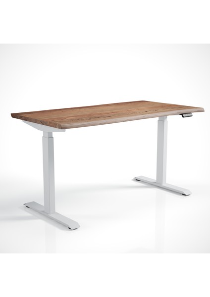 Regula Desk Solid N - Elektrikli Yüksekliği Ayarlanabilir Natürel Kenar Masif Ceviz Çalışma Masası - Beyaz Ayak, Ceviz Masif Tabla, 200X80 cm