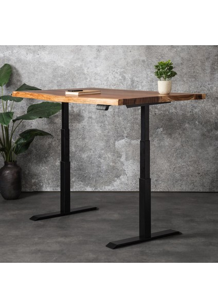 Regula Desk Solid N - Elektrikli Yüksekliği Ayarlanabilir Natürel Kenar Masif Ceviz Çalışma Masası - Siyah Ayak, Ceviz Masif Tabla, 150X75 cm fiyatları