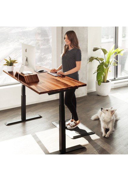 Regula Desk Solid S - Elektrikli Yüksekliği Ayarlanabilir Düz Kenar Masif Ceviz Çalışma Masası - Siyah Ayak, Ceviz Masif Tabla, 150X75 cm fiyatları