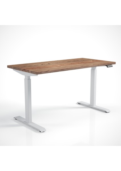 Regula Desk Solid S - Elektrikli Yüksekliği Ayarlanabilir Düz Kenar Masif Ceviz Çalışma Masası - Beyaz Ayak, Ceviz Masif Tabla, 150X75 cm