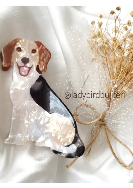 Ladybirdbujiteri Köpek Lüks Kemik Mandal Toka fiyatları