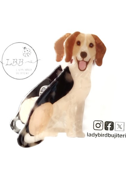 Ladybirdbujiteri Köpek Lüks Kemik Mandal Toka modelleri