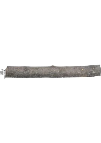 X-Perk Doğal Ağaç Papağan Kuş Tüneği Tünek Boy 20 cm