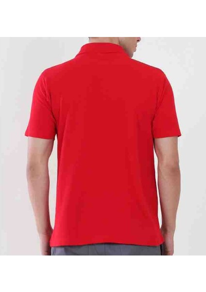 Kırmızı Erkek Polo Yaka Kısa Kollu Tişört modelleri