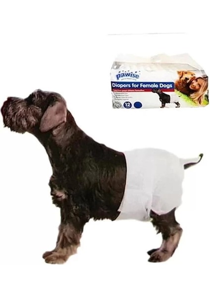 Pawise Köpek Alt Bağlama Bezi Xl Boy 12 Adet