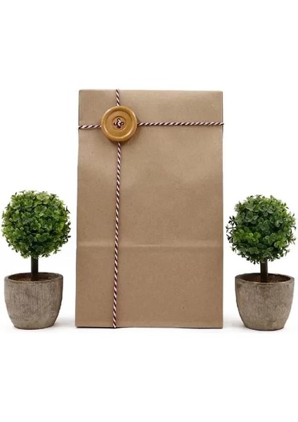 15X29 Kraft Renk Hediyelik Kese Kağıdı (10'lu Set)