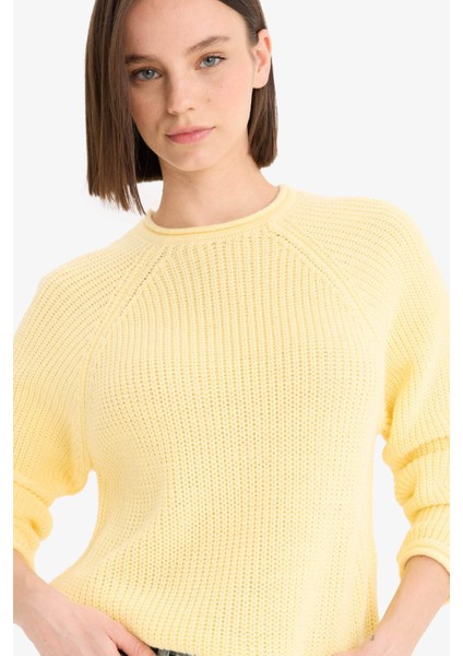 Coool Regular Fit Bisiklet Yaka Triko Kazak L2567AZ25WN fırsatları