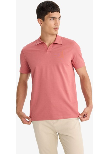 Regular Fit Polo Yaka İnce Dokulu Kısa Kollu Tişört F8477AX25AU modelleri