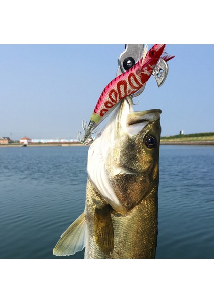 Balıkçılık Biyonik Yem Balıkçılık Malzemelerikoyu Kırmızı (Yurt Dışından) modelleri