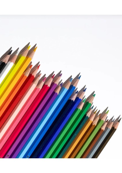 Faber Castell 24 Lü Kuru Boya Kalemi