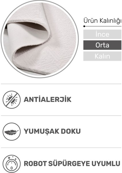 Marvina Yumuşak Dokulu Salon Halısı, Tozumaz, Robot Süpürge Uyumlu, 4 M’ye Kadar En Seçeneği fiyatları