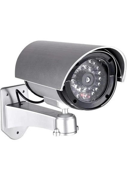 LR-D11IR Gece Görüşlü Görünümlü Caydırıcı Ir Kamera , Maket Kamera , Kukla Kamera ,