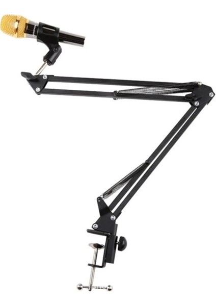 NWN21454 Pro Masa Tipi Mikrofon Standı Pop Filtre Stand