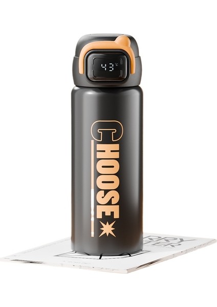 316 Akıllı Dijital Ekran Sıcak Su Şişesi Sıcak Su Isıtıcısı Araba Termos Fincan Su Isıtıcısı (Yurt Dışından)