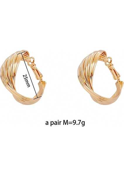 Safety1 Bildirimi Yuvarlak Kadın Kulak Küre Damla Küpeler Kadın Hafif Yuvarlak Geometrik Fırçalanmış (Yurt Dışından) modelleri