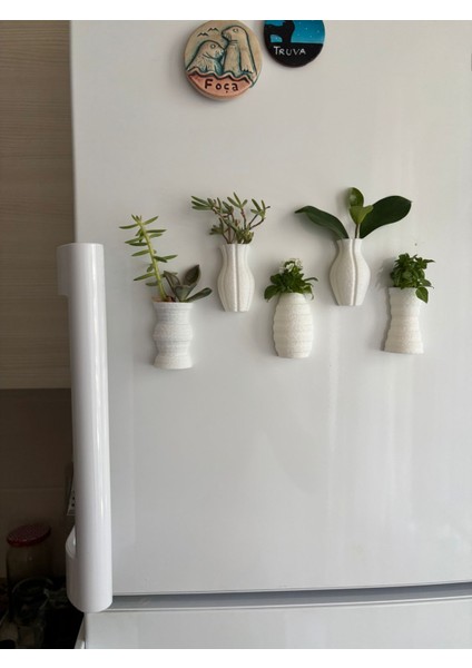Fuzzy Mini Saksı Magnetli Set (5 Adet) fiyatları