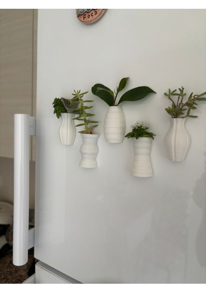 Fuzzy Mini Saksı Magnetli Set (5 Adet) fırsatları