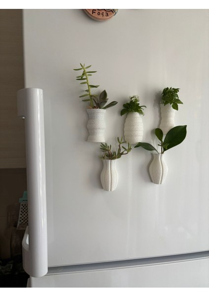 Fuzzy Mini Saksı Magnetli Set (5 Adet)