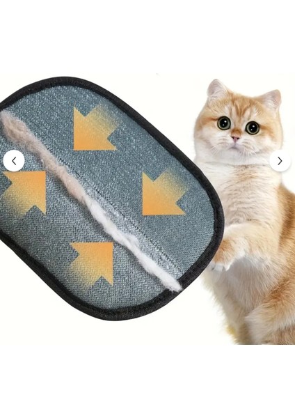 Çift Taraflı Statik Kedi Köpek Tüy Temizleme Eldiveni Giysiler, Mobilyalar ,halılar Için fiyatları