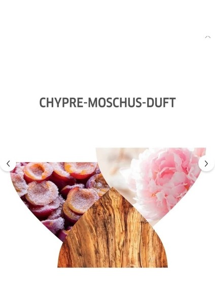 Invigo Nutri-Enrich Deep Nourishing Işlem Görmüş Saçlar Için Şampuan 1000ML fiyatları