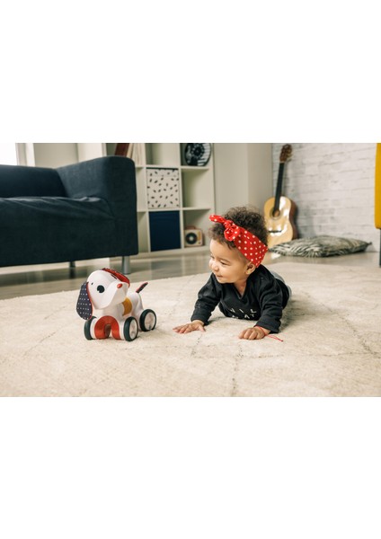0-3 Yaş Emekleme Arkadaşım Sevimli Köpek Charlie (Tiny Rockers Koleksiyonu)