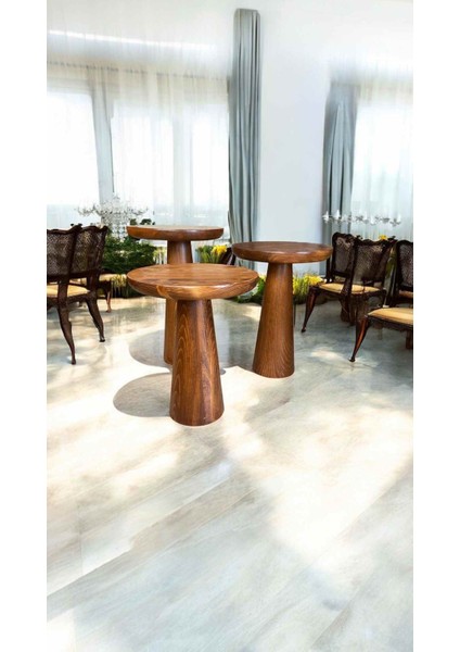 Açık Ceviz Renkli Ahşap 3’lü Yan Sehpa Seti – Mantar Model fiyatları