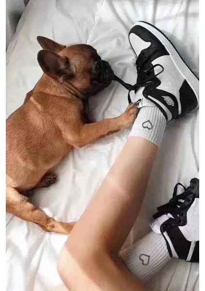 Kadın 6 Çift Premium Kalite Kalp Detaylı Tenis Çorap Siyah Beyaz Gri