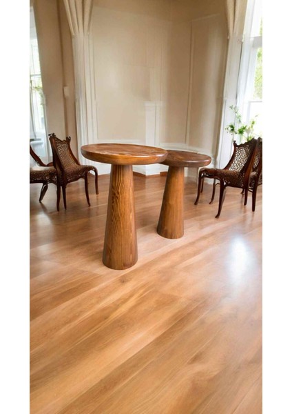 Açık Ceviz Renkli Ahşap 2’li Yan Sehpa Seti – Mantar Model fiyatları