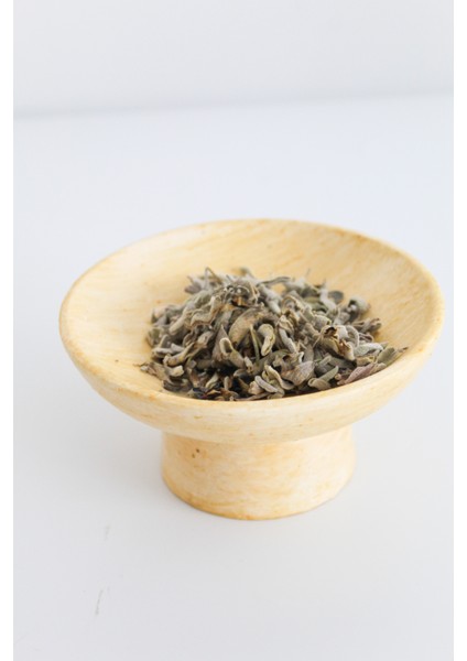 Palo Santo Adaçayı Tütsülük modelleri