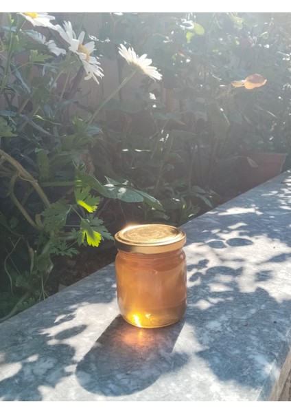 Çiçek Balı 425GR