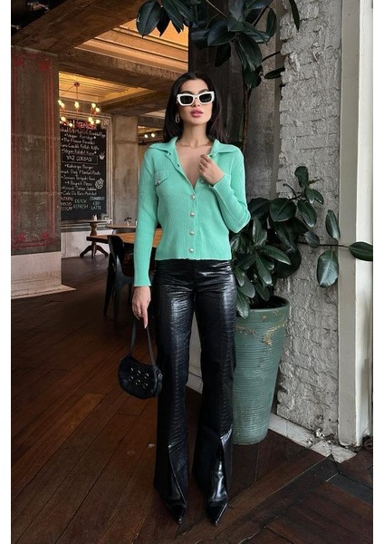 Kadın Mint Akrilik Düz Triko Polo Yaka Hırka modelleri