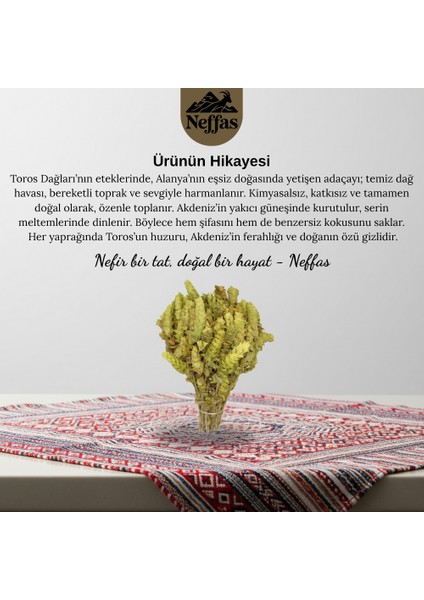 Alanya Adaçayı modelleri