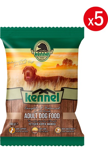 Adult Dog Tavuklu Yetişkin Köpek Maması, 100 gr x 5 Adet, Tüm Irklar Için, Doğal, Şeker Içermez