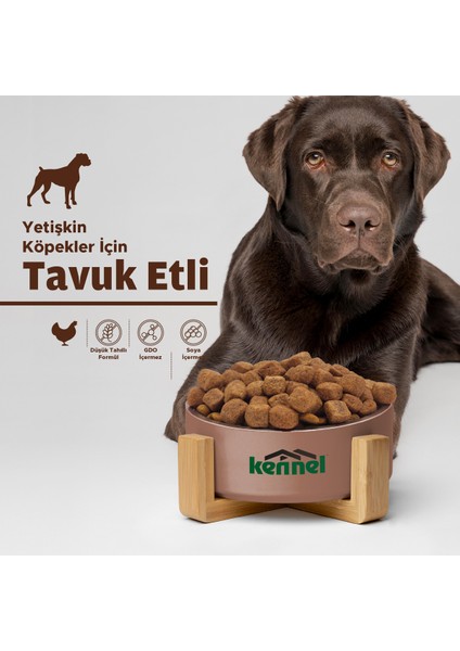 Adult Dog Tavuklu Yetişkin Köpek Maması, 100 gr x 5 Adet, Tüm Irklar Için, Doğal, Şeker Içermez modelleri