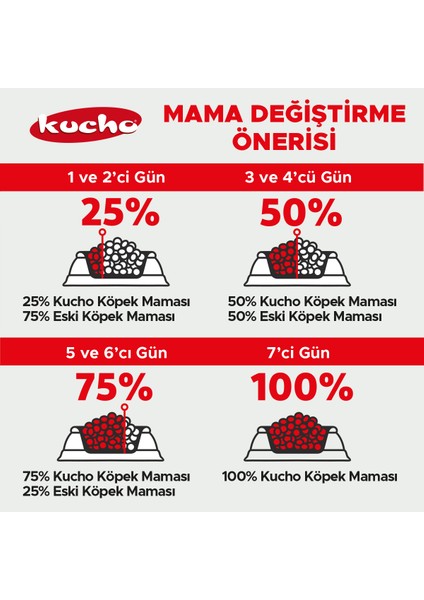 Adult Dog Kuzulu Yetişkin Köpek Maması, 100 gr x 5 Adet, Tüm Irklar Için, Doğal, Şeker Içermez