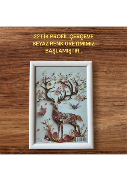 BERENHOME 21X30 A4 BELGE,EVRAK VE DİPLOMA ÇERÇEVESİ