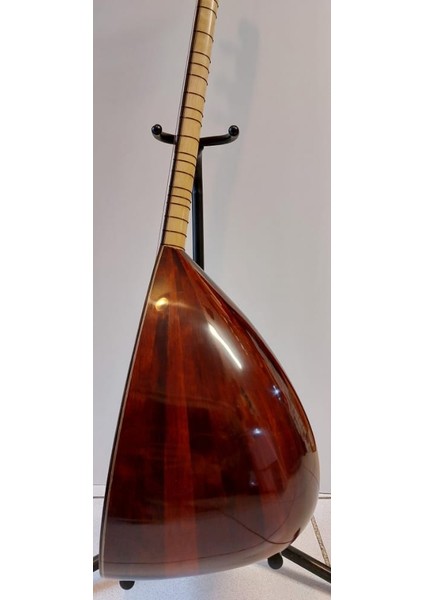 Profesyonel Uzun Ardıç Bağlama modelleri