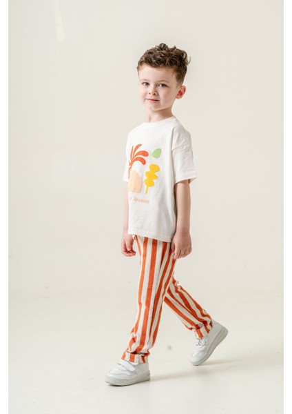 Mackays 2'li Tak modelleri