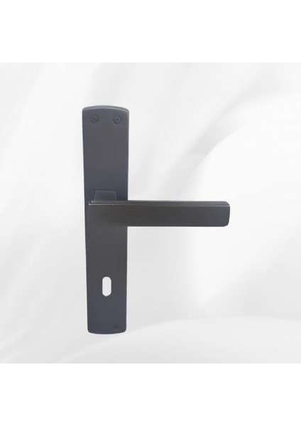 lusso antrasıt antrasit renkli aynalı kapı kolu wc kapı kolu