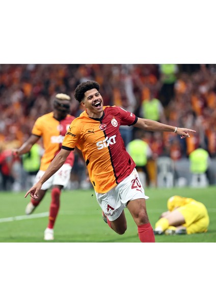 Galatasaray Resmi Lisanslı Asma Oto Kokusu ( Gabrıel Sara Kokusu ) modelleri